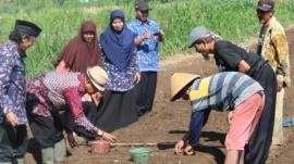 Bantuan Benih Bawang Merah Kelompok Tani Ngudi Mulyo Garotan