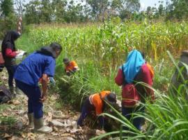 Semangat 45 Dalam Penelitian Geologi oleh Siswa Siswi SMK Darul MUhliyin