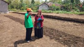Persiapan Sample Lahan Pertanian Untuk Lomba Desa
