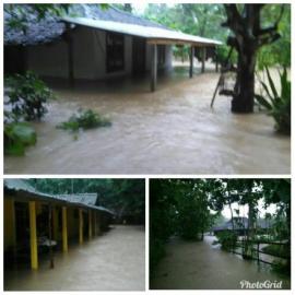 3 Rumah Warga Desa Bendung Terendam Banjir